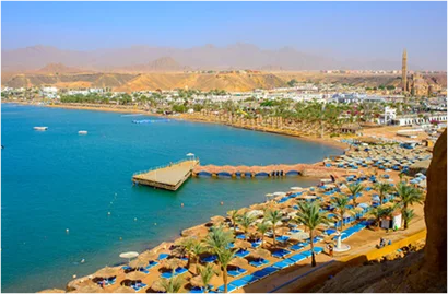 Hurghada Branch